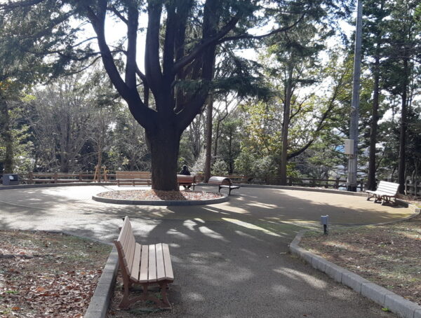 須和田公園のベンチ