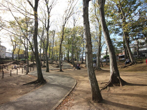 小塚山フィールドアスレチックの坂