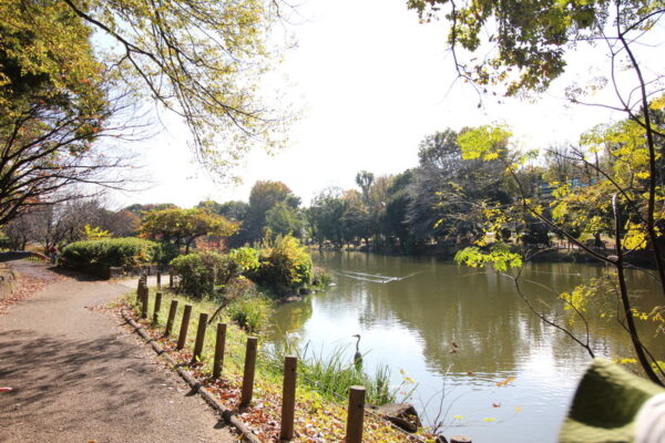 じゅん菜池緑地の遊歩道(散歩道)