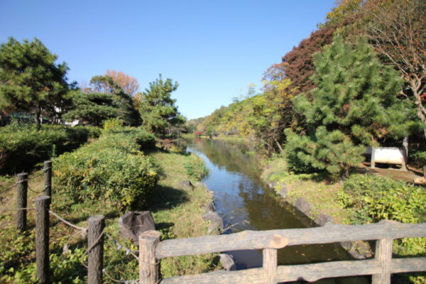 じゅん菜池緑地の橋