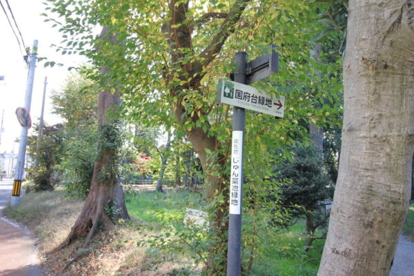 小塚山フィールドアスレチックからじゅん菜池緑地