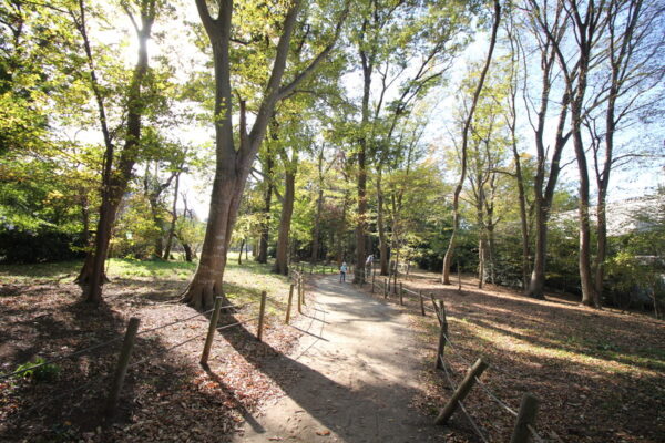 小塚山フィールドアスレチックからじゅん菜池緑地への道