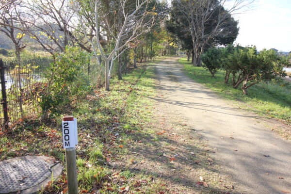 大柏川第一調節池緑地の散歩コース