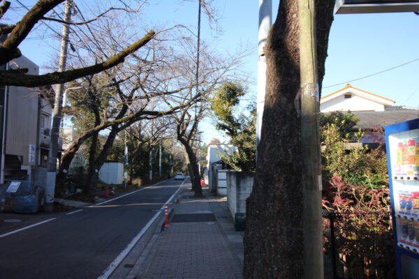 里見公園へのアクセス(国府台病院を曲がる)