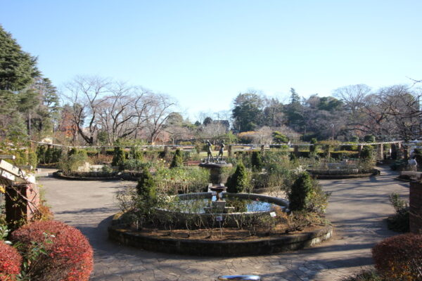 里見公園のバラ園(噴水広場)