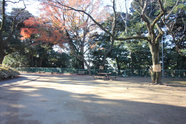 里見公園のお休み処おおたの前の広場