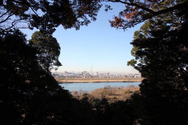 里見公園から東京スカイツリー