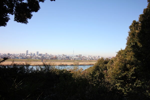 里見公園の展望台