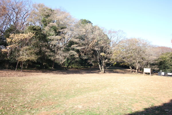 堀之内貝塚公園の芝生広場