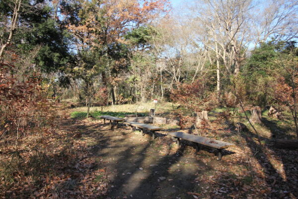 堀之内貝塚公園の通路のベンチ