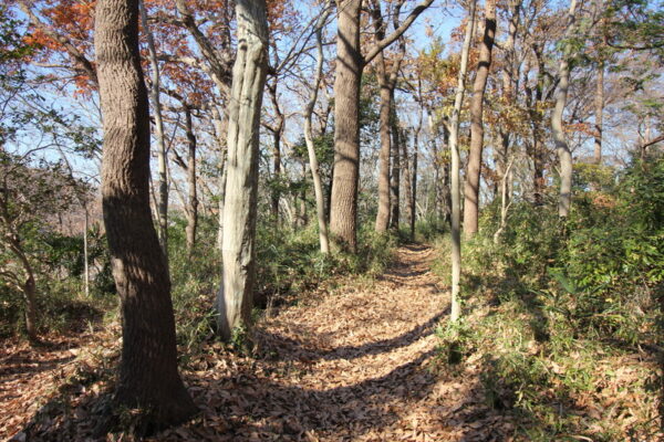 堀之内貝塚公園の通路