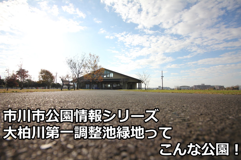 大柏川第一調節池緑地ってこんな公園！