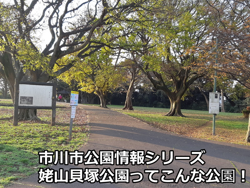 姥山貝塚公園ってこんな公園！