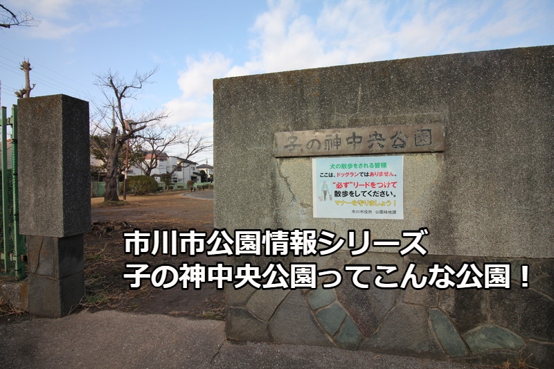 子の神中央公園ってこんな公園！