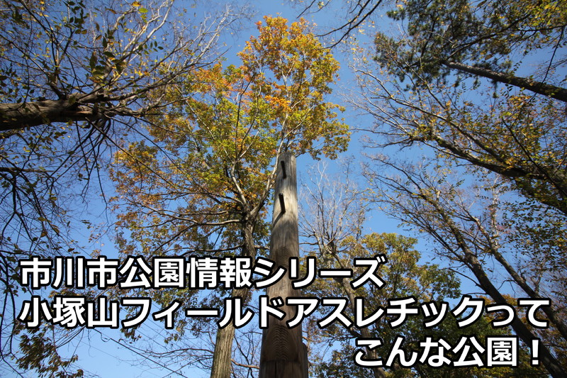 小塚山フィールドアスレチック公園ってこんな公園！