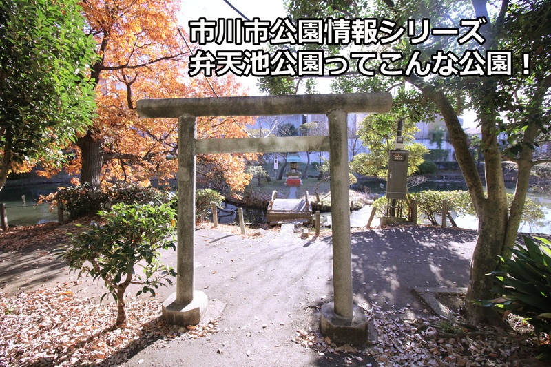 弁天池公園ってこんな公園！
