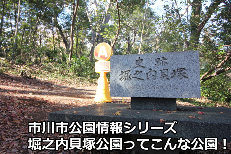 堀之内貝塚公園ってこんな公園