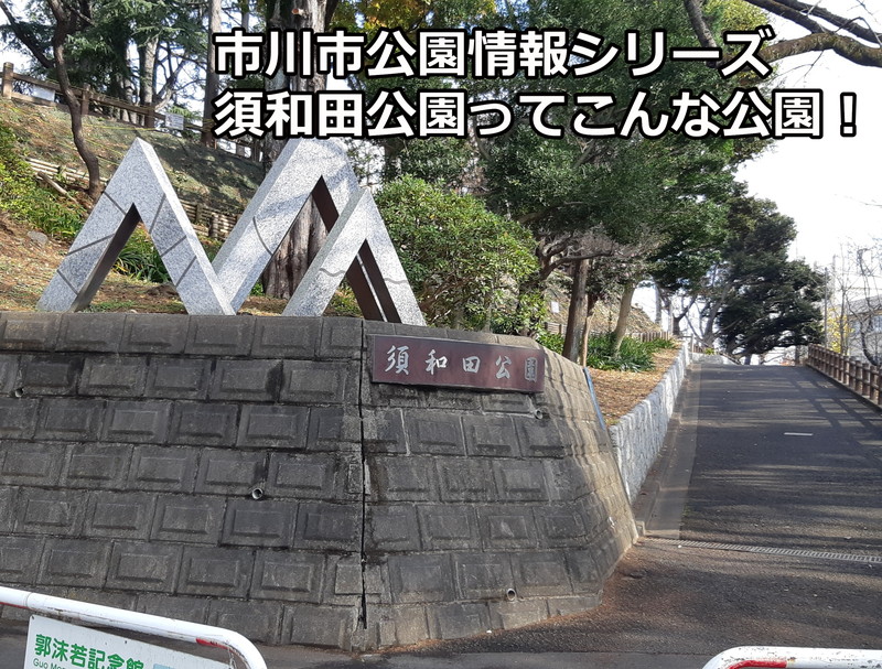 須和田公園ってこんな公園！