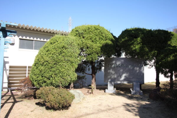 行徳駅前公園のプールの様子