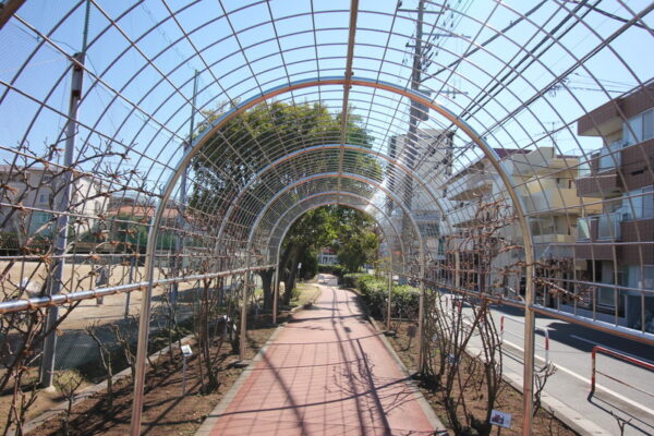 南行徳公園（えんぴつ公園）のバラ園